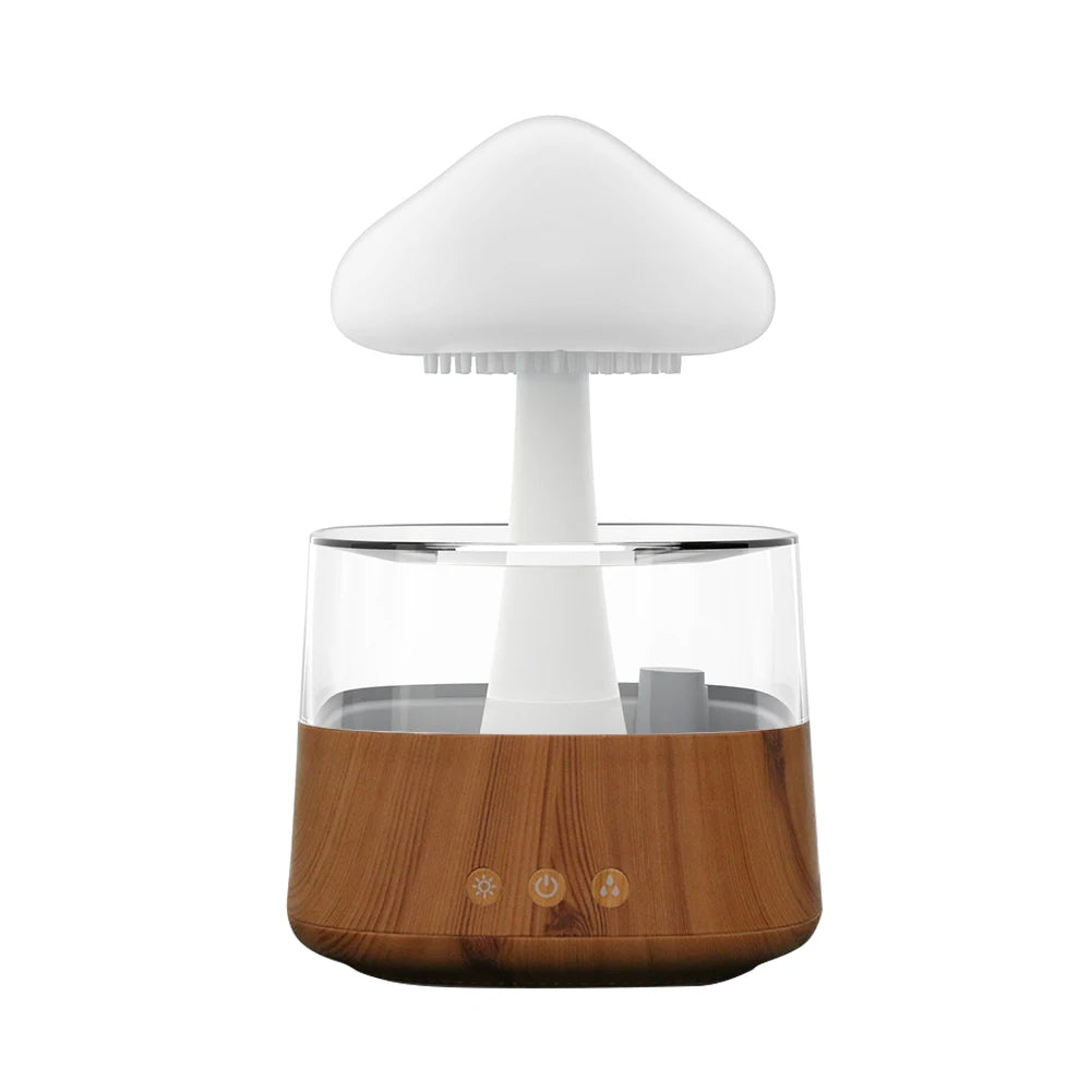 Raindrop Humidifier