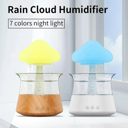 Raindrop Humidifier