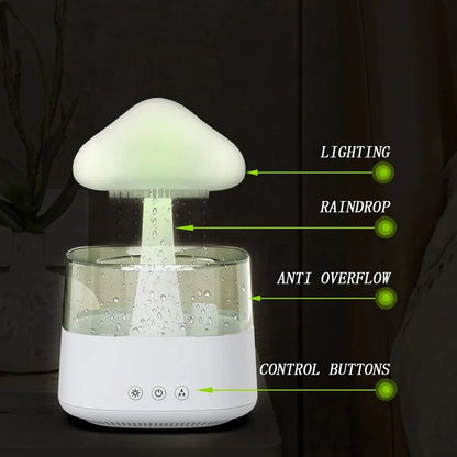 Raindrop Humidifier