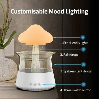 Raindrop Humidifier