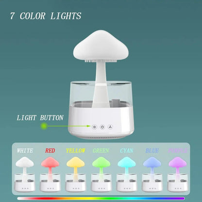 Raindrop Humidifier